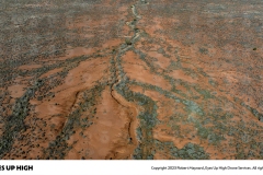 00000_202307191051_large