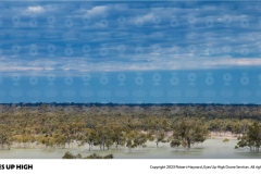 00000_202307201037_large